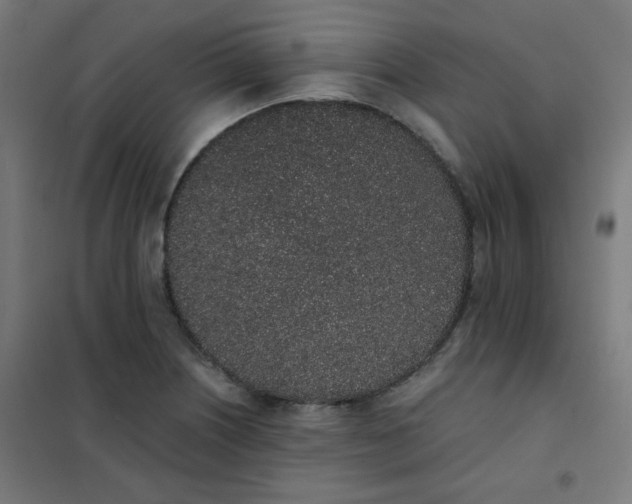 X0000101681226200807241338