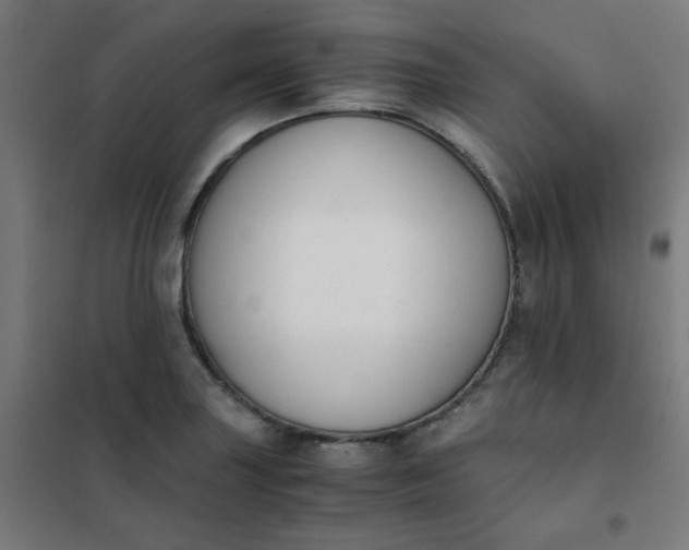 X0000101681227200807241338