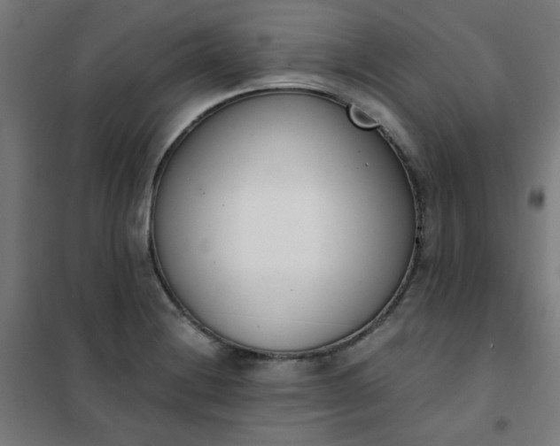 X0000101681228200807241338