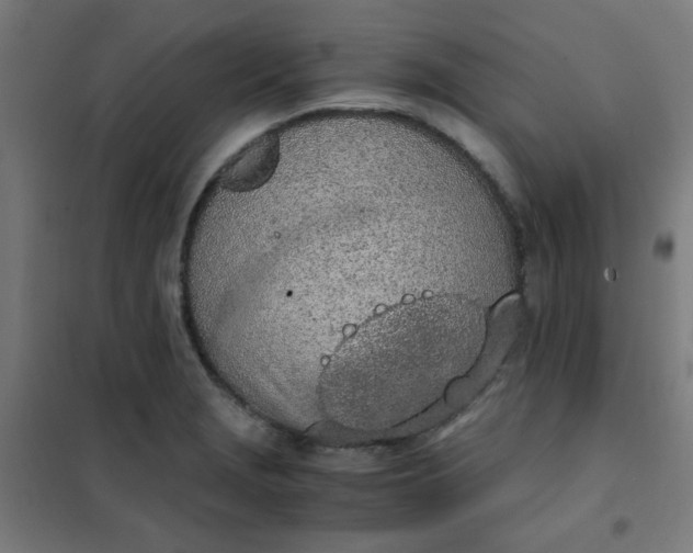 X0000101681229200807241338