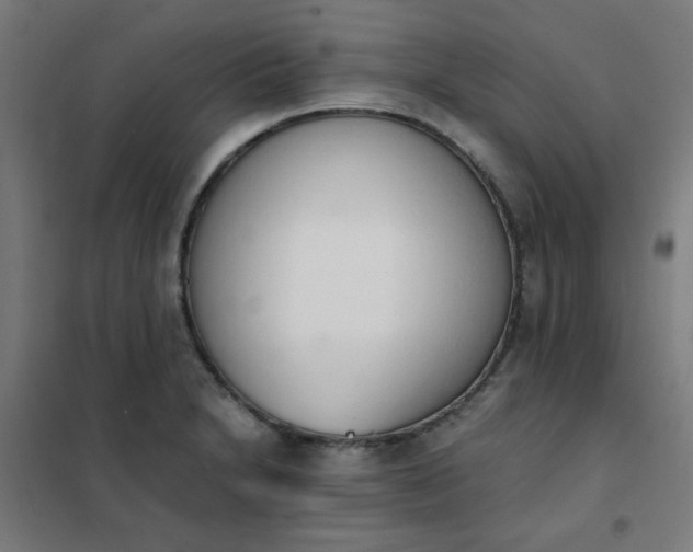 X0000101681230200807241338