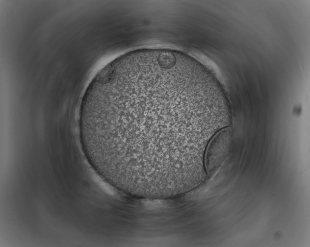 X0000101681231200807241338