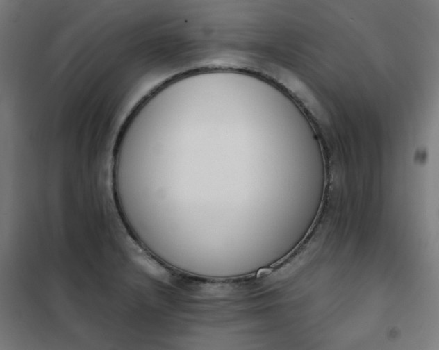 X0000101681232200807241338