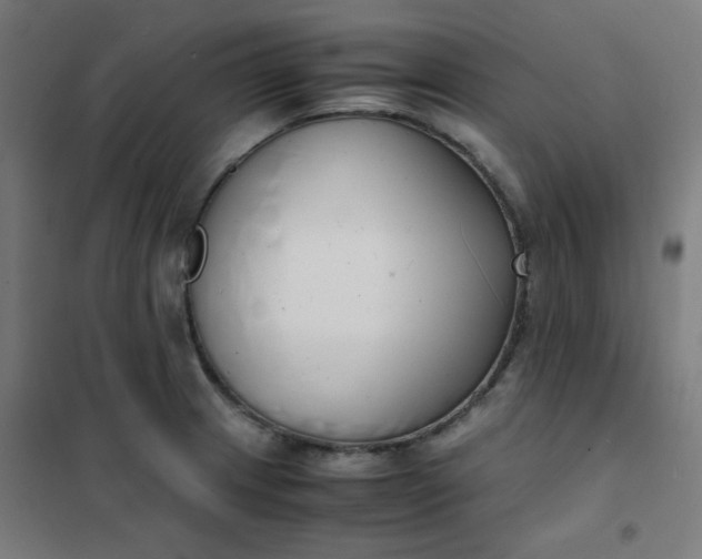 X0000101681233200807241338