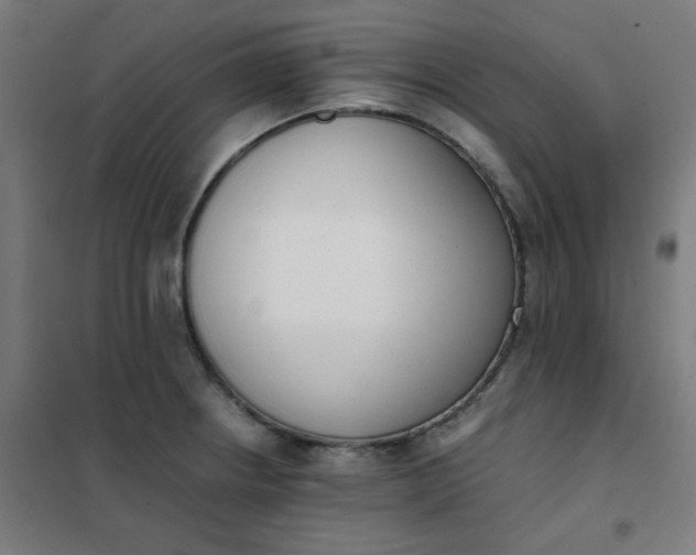 X0000101681234200807241338