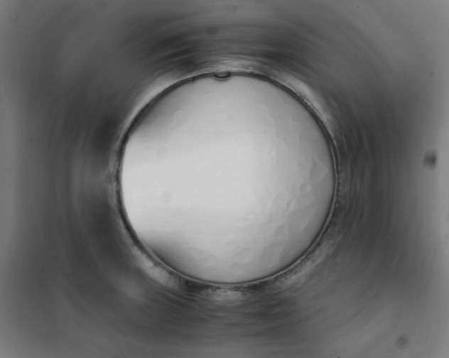 X0000101681235200807241338