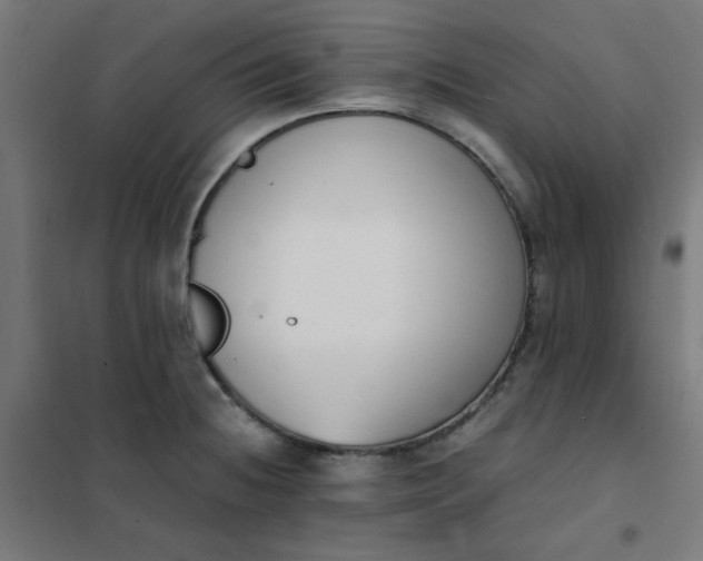 X0000101681236200807241338