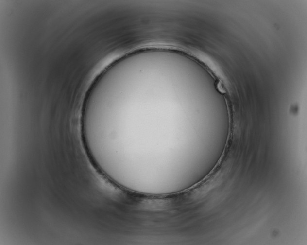 X0000101681237200807241338