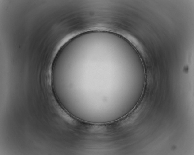 X0000101681238200807241338