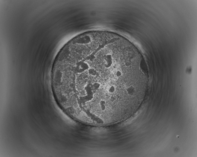 X0000101681239200807241338