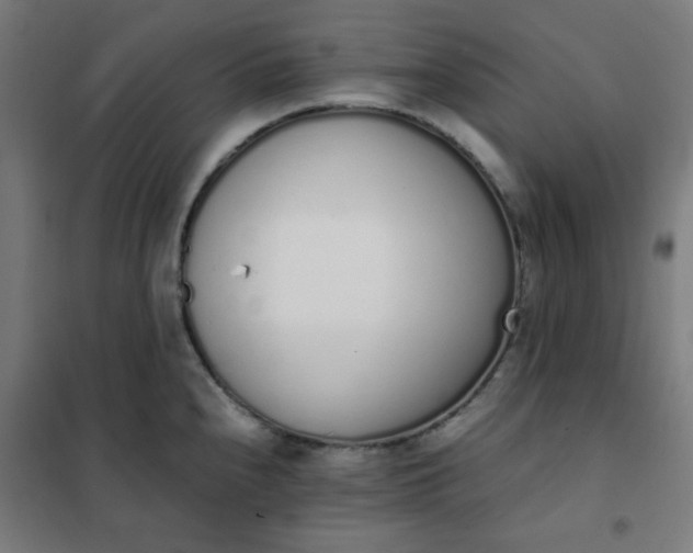 X0000101681240200807241338