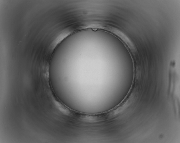 X0000101681241200807241338