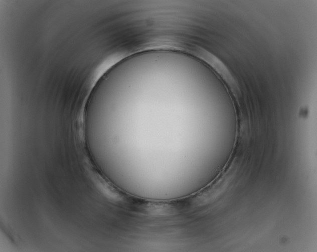 X0000101681242200807241338