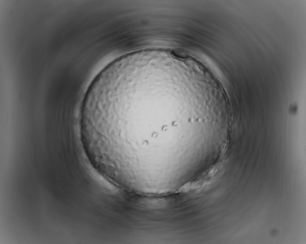 X0000101681243200807241338