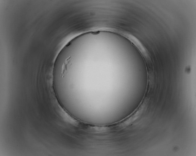 X0000101681244200807241338