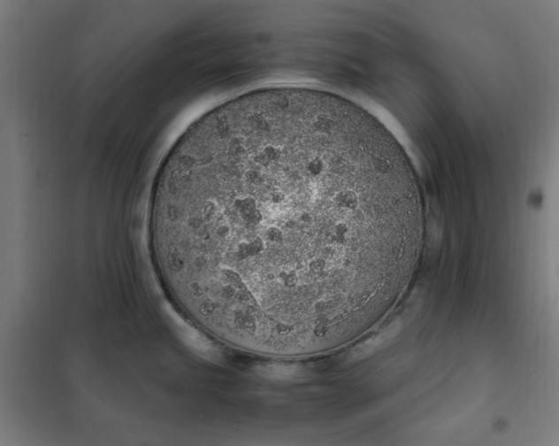 X0000101681245200807241338