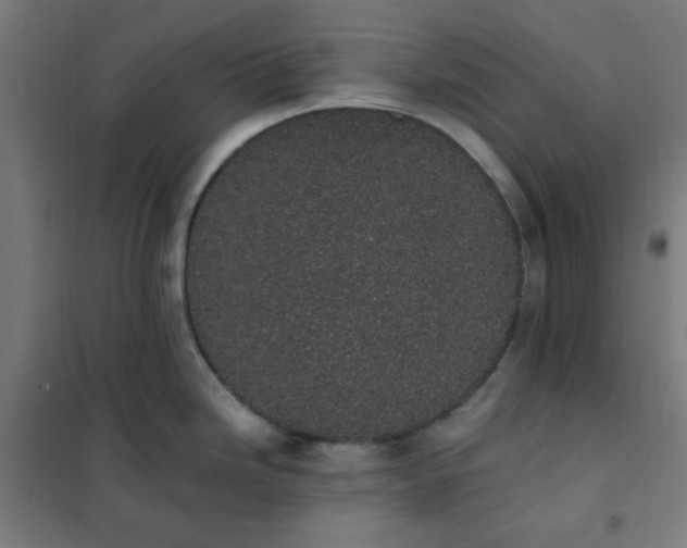 X0000101681246200807241338