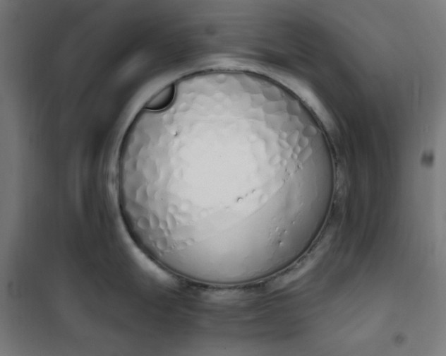 X0000101681247200807241338