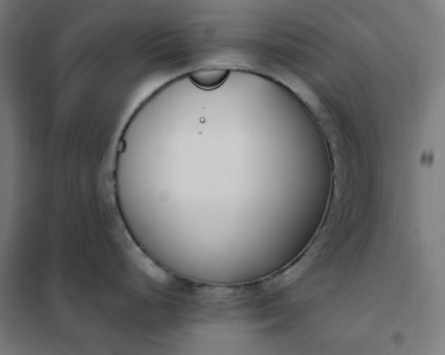 X0000101681248200807241338