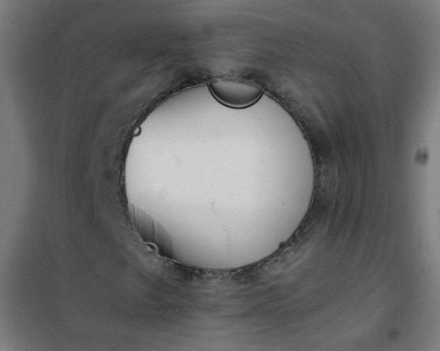 X0000101681249200807241337