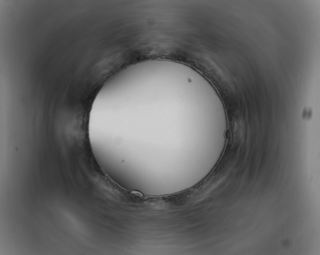 X0000101681250200807241337