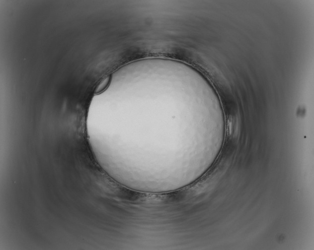 X0000101681251200807241337