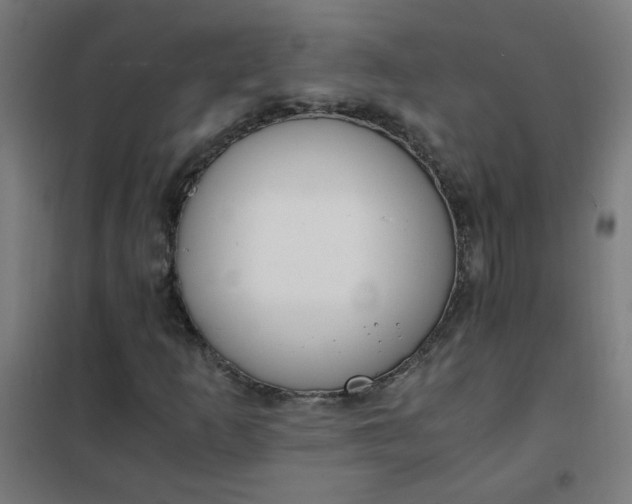 X0000101681253200807241337