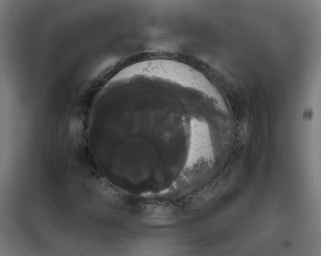 X0000101681254200807241337