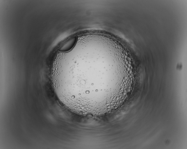 X0000101681255200807241337