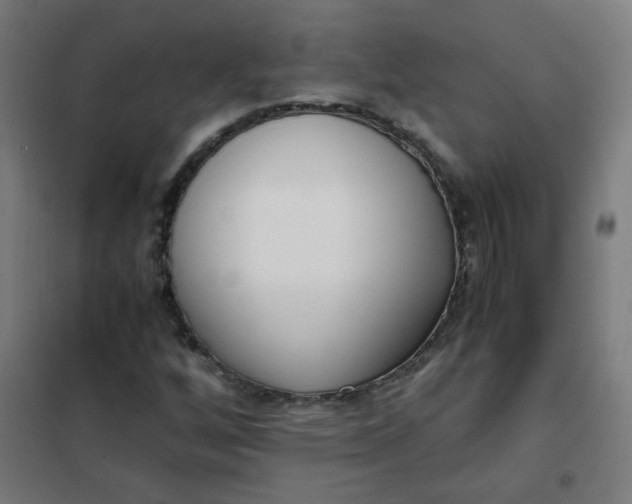 X0000101681256200807241337