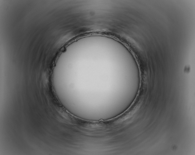 X0000101681257200807241337