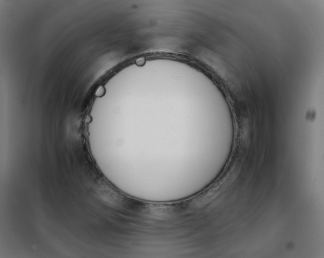 X0000101681258200807241337