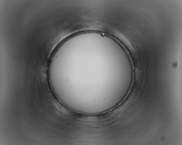 X0000101681260200807241337