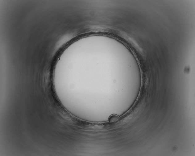 X0000101681261200807241337