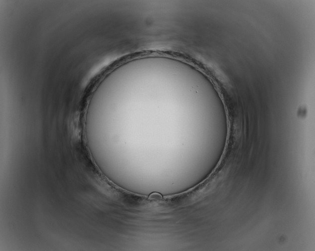 X0000101681262200807241337