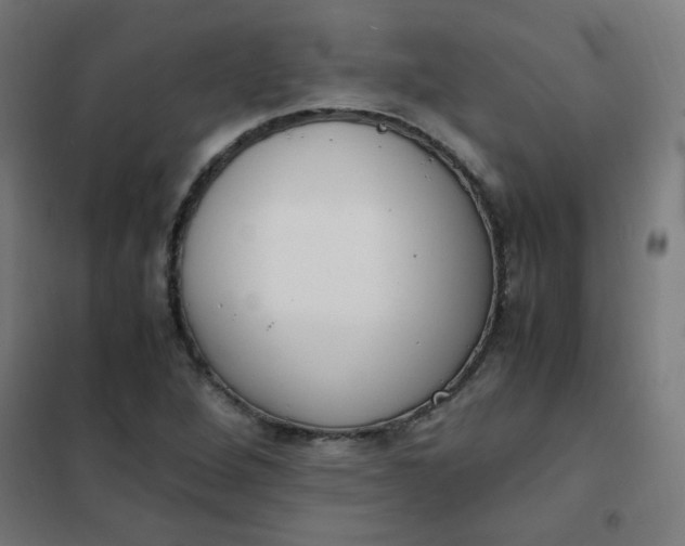 X0000101681264200807241337