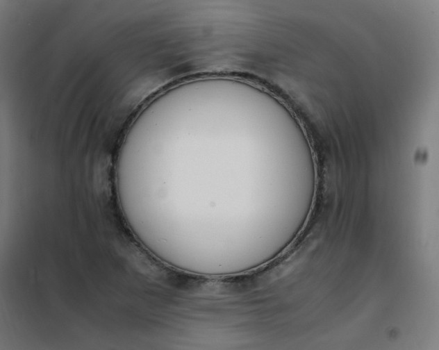 X0000101681265200807241337