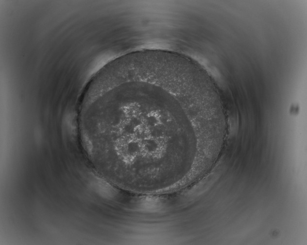 X0000101681266200807241337