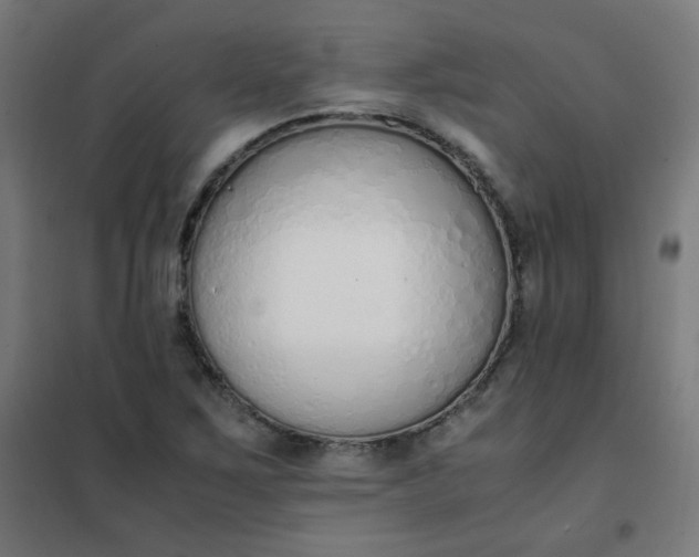 X0000101681267200807241337