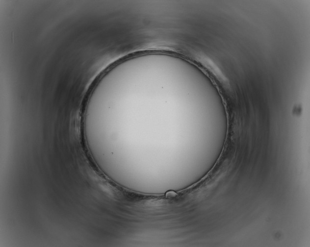 X0000101681268200807241337