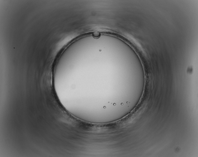 X0000101681269200807241337