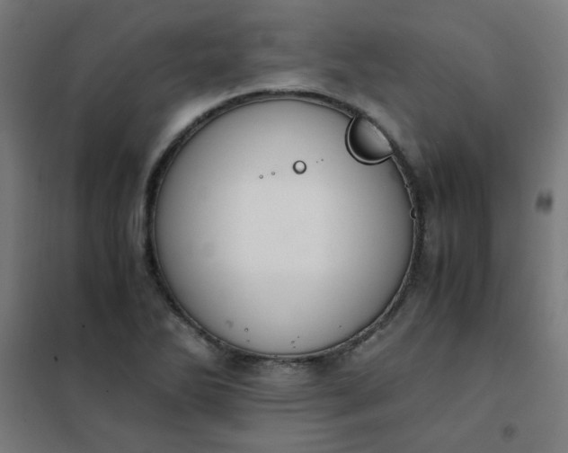 X0000101681270200807241337