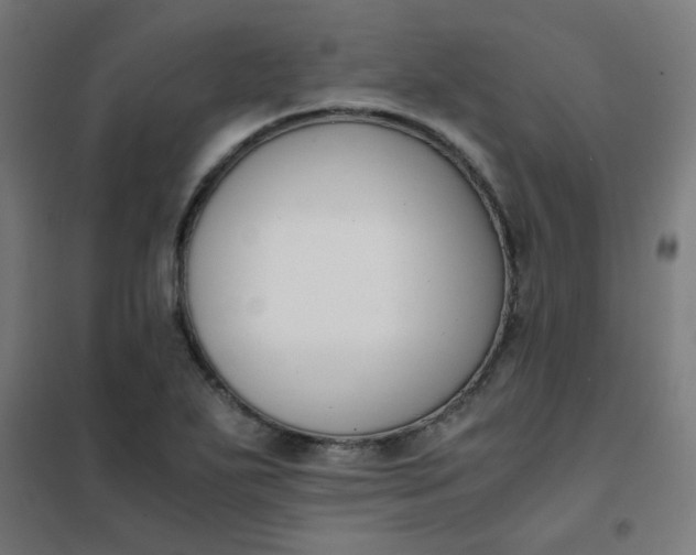 X0000101681271200807241337