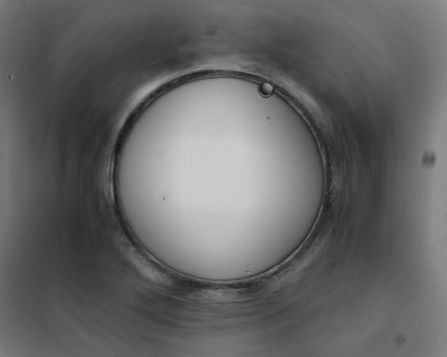 X0000101681272200807241337