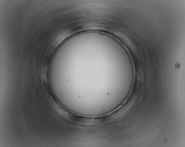 X0000101681273200807241337