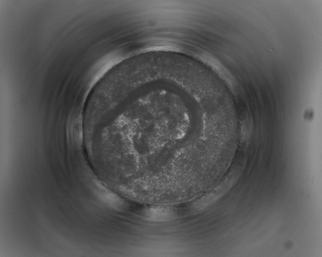 X0000101681274200807241337