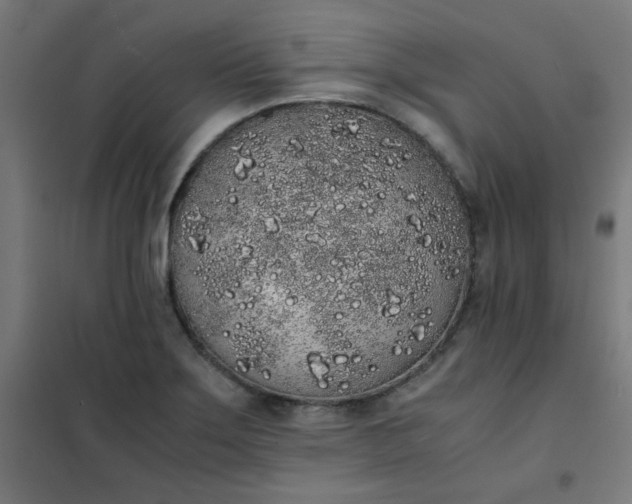 X0000101681275200807241337