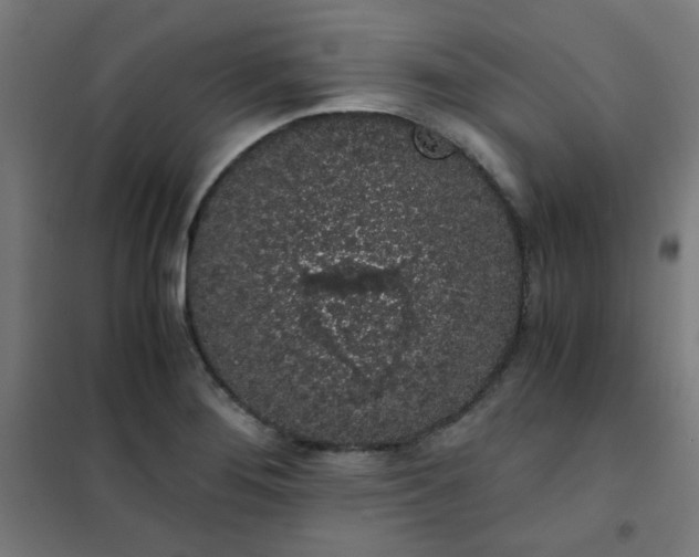 X0000101681276200807241337