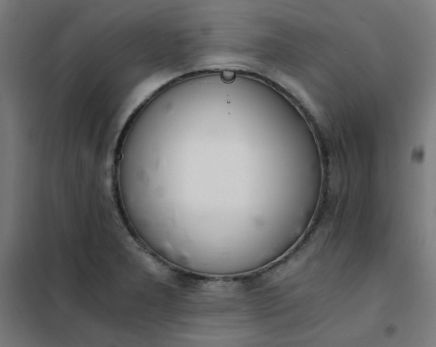 X0000101681277200807241337