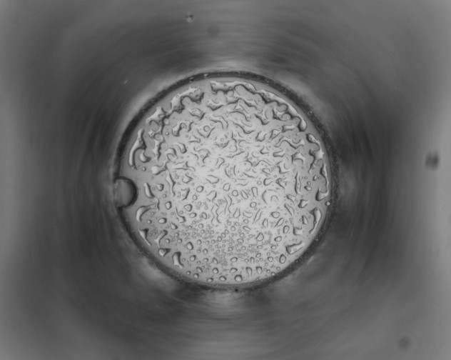 X0000101681278200807241337